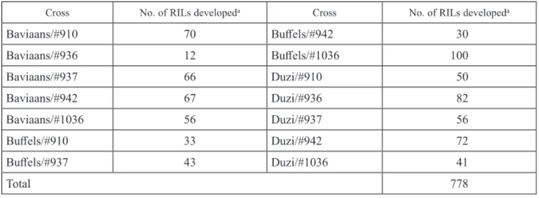 Table 1. Number of RILs of wheat developed in each population for the study