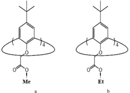 Figure 8. Receptors based on polymeric calixarenes [100].
