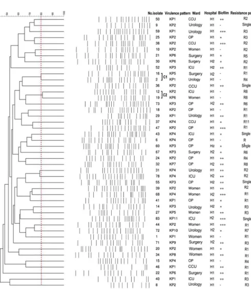Figure 1. XbaI-digested DNA from 45 K. pneumoniae isolates in PFGE. Dendrogram was constructed based on UPGMA using Dice coef ﬁ cient with a 1.0% band position tolerance, and the scales above the