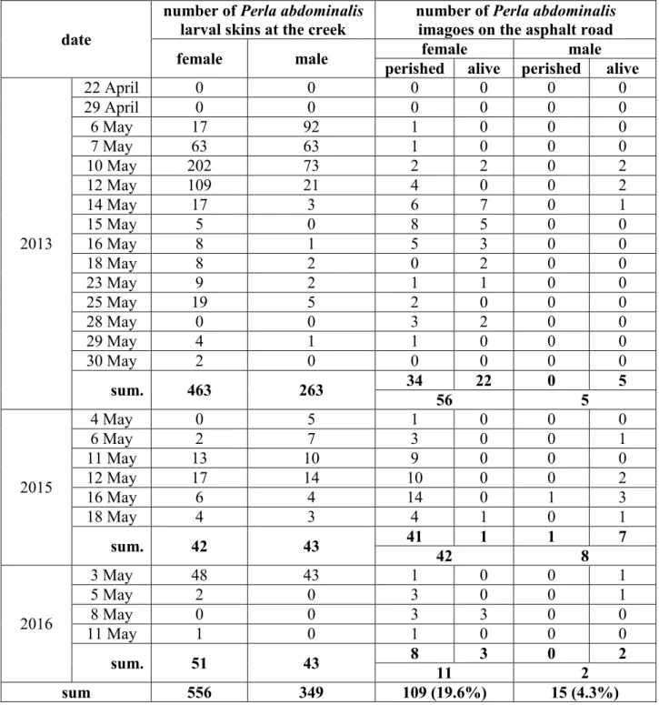 Table 1. Numbers of larval skins of  Perla abdominalis (Guérin-Méneville, 1838) collected at the  Bükkös  Creek,  near  Dömörkapu,  Hungary,  and  numbers  of  perished  and  alive  adult  specimens  gathered on the asphalt road during the adult activity p