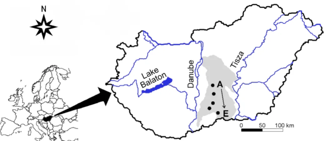 Fig. 1. The location of the study sites in Hungary between the Danube and Tisza Rivers from the centre  (Site A) towards the periphery (Site E) of the Carpathian basin