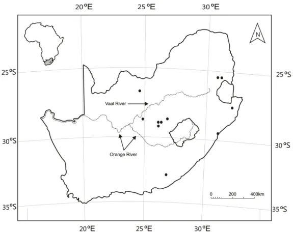 Fig. 25. Known distribution of Hypozetes andreii sp. n. in South Africa indicated by filled circles