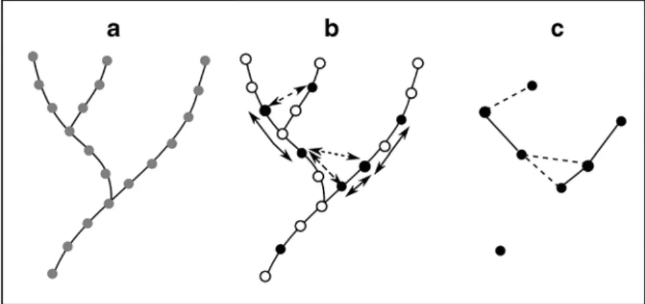 Fig. 2 Illustration of a graph-based approach for modelling landscape- landscape-level processes in river networks, from Chaput-Bardy et al