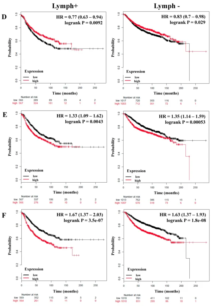 Figure 3. The prognostic value of the expression of genes associated with the NF-κB pathway based on the Lymph node status