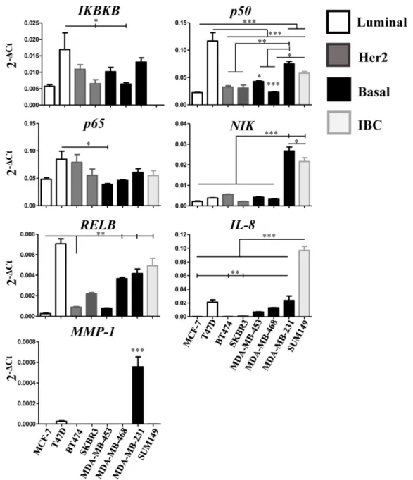 Figure 4. Relative expression of NF-κB pathway-related genes in breast cancer cell lines