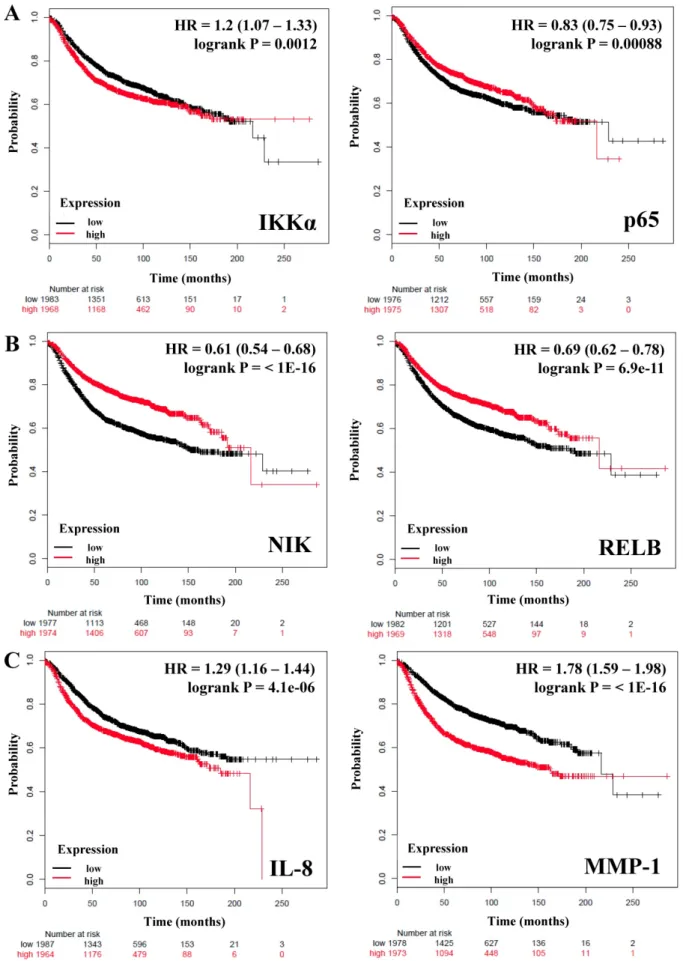 Figure 1. The prognostic value of the expression of genes associated with the NF-κB pathway