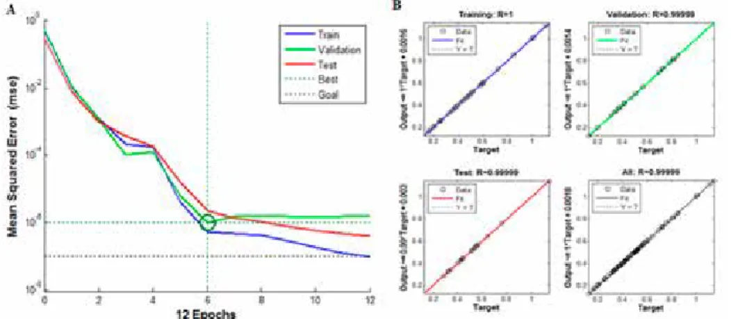 Figure 3. Change in the MSE during the training steps (A) and predicted values of tolerance by a multilayer  perceptron neural network versus observed values intesting, training and validation phases (B) based on 