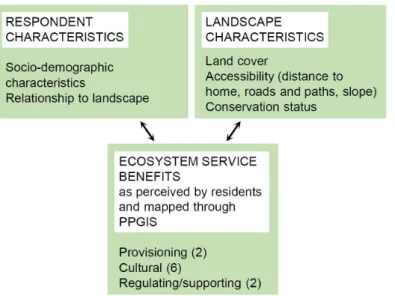 Figure  2.  Study  design.  Framework  for  analyzing  the  role  of  survey  respondents’  characteristics165