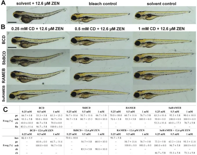 Fig. 6: Representative developmental defects in 120 hpf zebrafish embryos after 24 h  460 