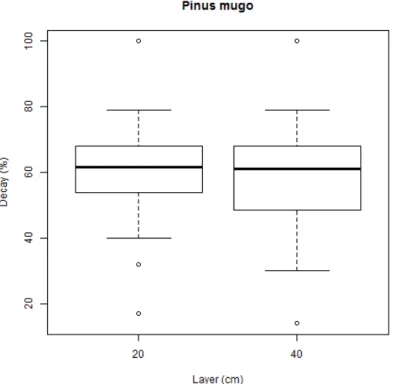 Figure 4. Comparison of the wood decay among different layers in shrubby pine stands.