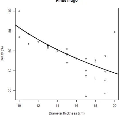 Figure 5. Correlation between the decay (expressed in percentage) and the wall thickness (ratio  of whole trunk/ healthy wood) in case of Pinus mugo.