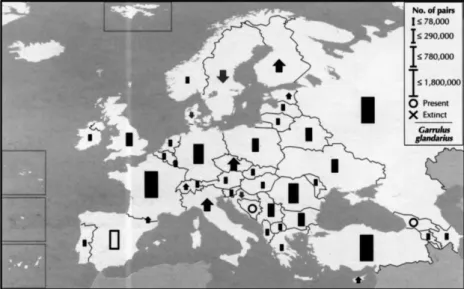 6. térkép: A szajkóállományok dinamikája Európa egyes országaiban (B IRD L IFE 