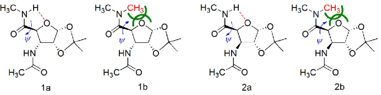 Figure 1. The four β-sugar amino acid diamides foldamer building units studied here as an example