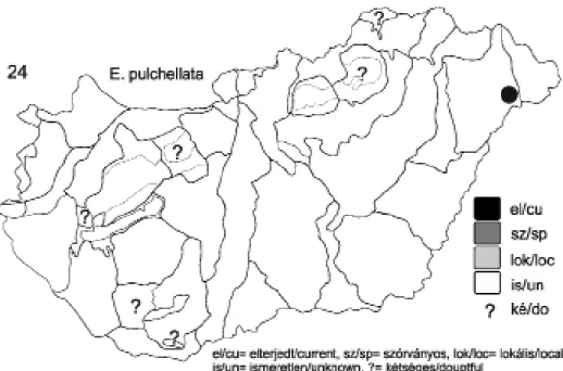 24. ábra: Az Eupithecia pulchellata földrajzi elterjedése Magyarországon Fig. 24. Distribution of Eupithecia pulchellata in Hungary