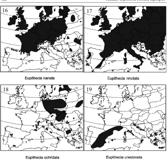 16–19. ábra – Figures 16–19.  Az Eupithecia innotata fajcsoport taxonjainak vázlatos  földrajzi  elterjedése  Kelet-Európától  Nyugat-Európáig  |  Distribution  of  Eupithecia  innotata  species-group from Eastern-Europe to Western-Europe (schematic) 