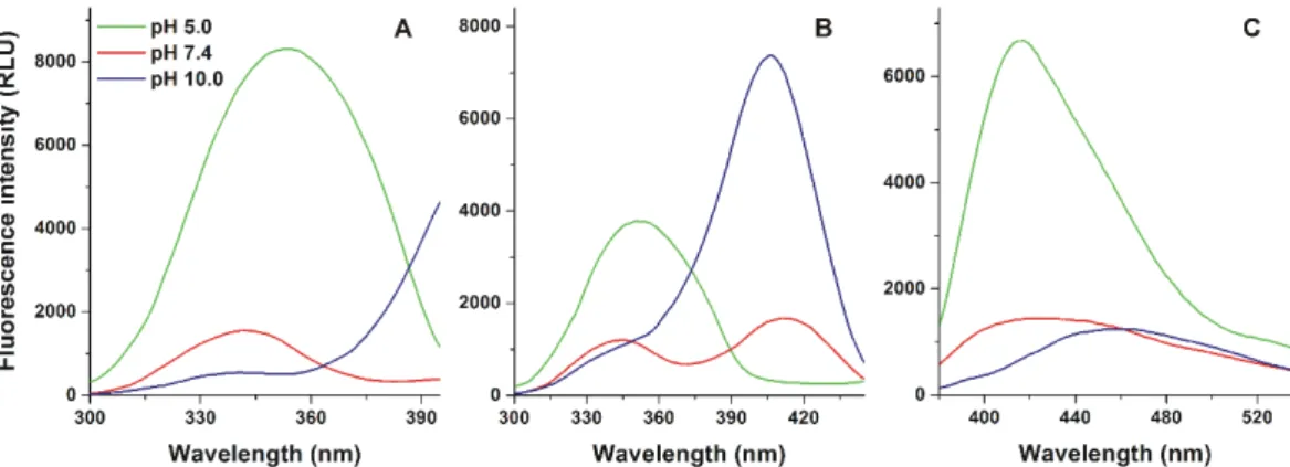 Figure 2. Fluorescence excitation (A: λ em  = 417 nm; B: λ em  = 465 nm) and emission (C: λ ex  = 345 nm)  spectra of AOH (50 μM = 12.9 mg/L) in sodium acetate (50 mM, pH 5.0), sodium phosphate (50 mM,  pH 7.4), and sodium borate (50 mM, pH 10.0) buffers (
