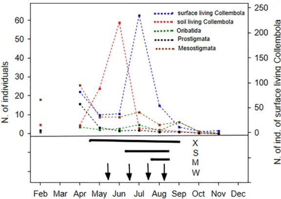Fig 2. Dynamics of soil mesofauna. Monthly dynamics of the total activity density of different microarthropod groups in the control plots in 2015