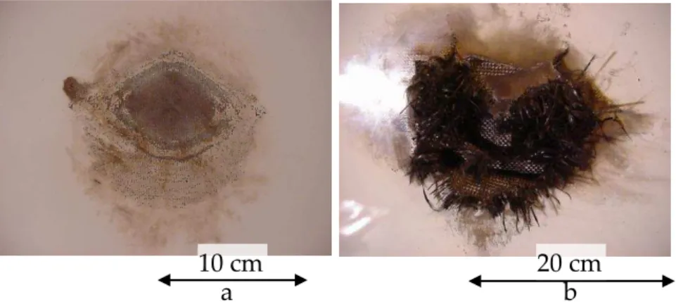 Figure 4. Composite specimen exposed to thunderstrike with protection (a) and with no  protection (b) [52] 