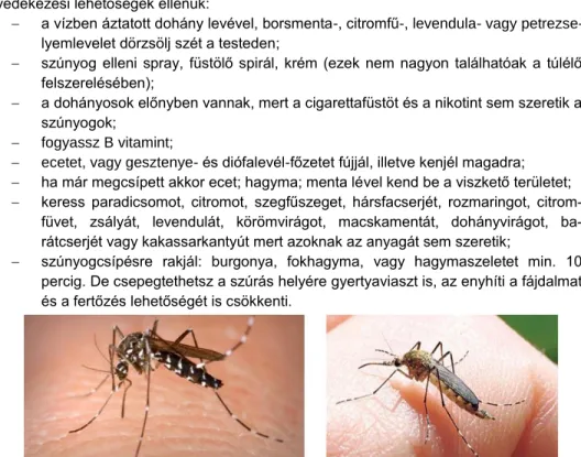168. kép: Zika-vírust terjesztő szúnyog 18  és délről érkező szunyog. 19