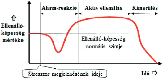 1. ábra: A Selye-féle általános adaptációs szindróma három fázisa