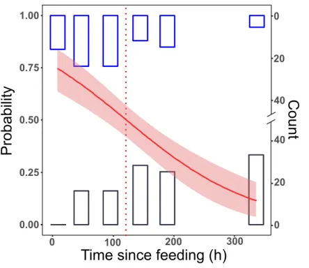 Figure 1 Detection of prey DNA in T. oblongus specimens’ gut content with diagnostic PCR reaction.