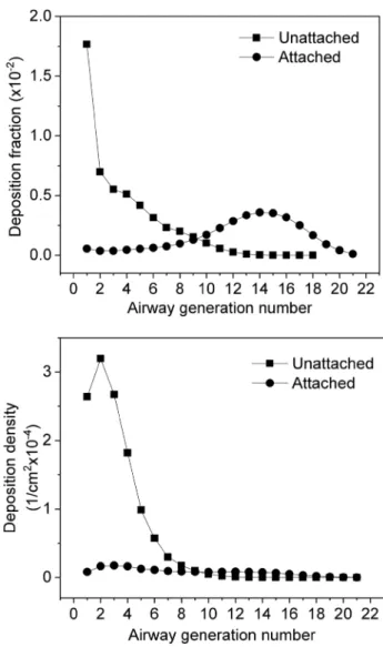Fig. 4    Deposition fractions and deposition densities of attached and  unattached radon progenies in bronchial airways depending on airway  generation number, for a sitting male with corresponding breathing  rates, at an indoor radiation exposure of 1 WL