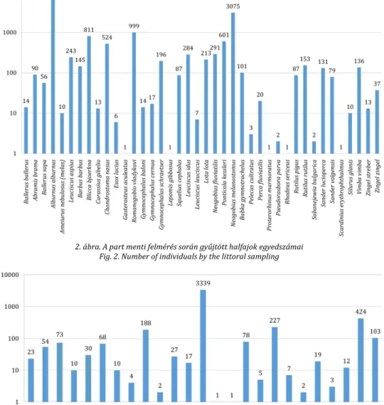 2. ábra. A part menti felmérés során gyűjtött halfajok egyedszámai  Fig. 2. Number of individuals by the littoral sampling 