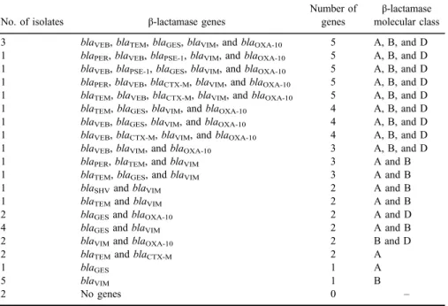 Table V. Distribution of β -lactamase genes and classes among 33 P. aeruginosa strains
