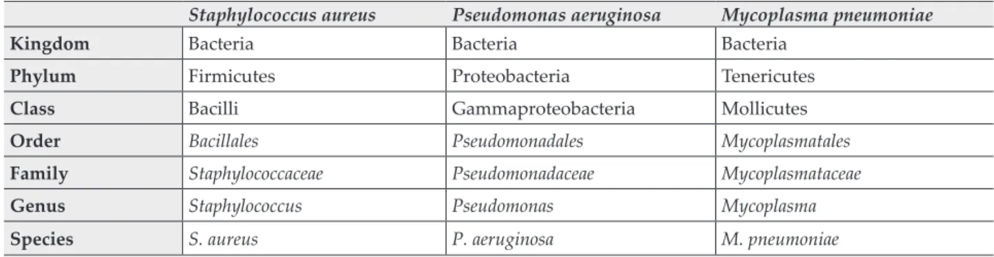 Table I Example of taxonomic classification for a common Gram-positive, Gram-negative and an atypical pathogen Staphylococcus aureus Pseudomonas aeruginosa Mycoplasma pneumoniae