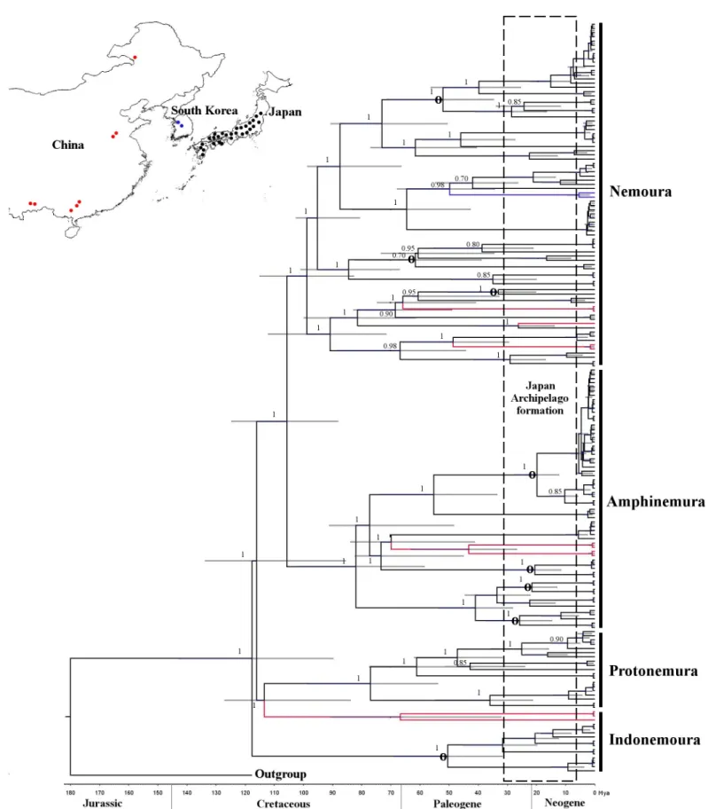 Fig 2. Concatenated Bayesian phylogeny (cox1 + H3) of the East Asian Nemouridae family