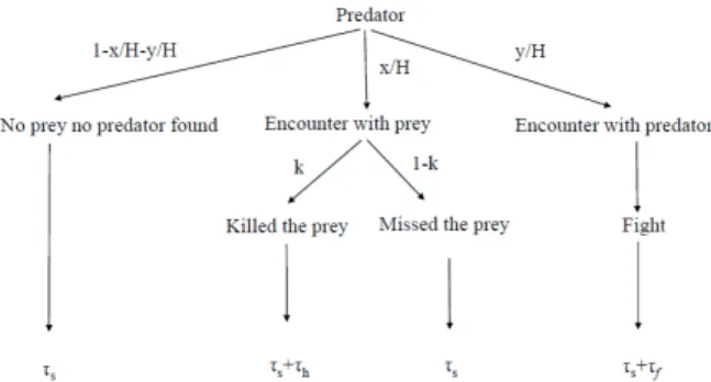 Figure 3. The interference between predators (in this example fight) decreases the time 3 