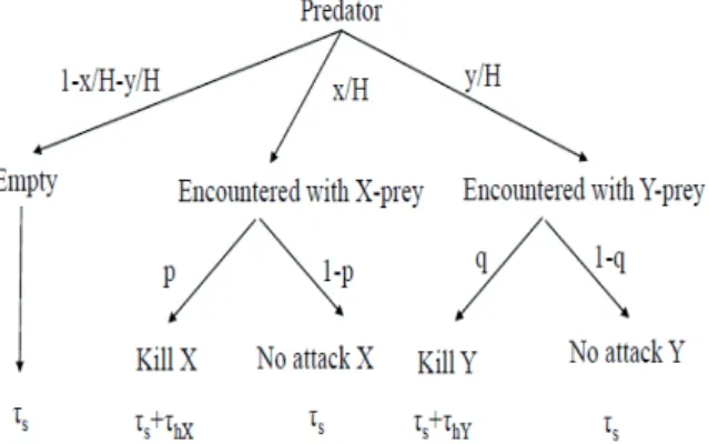 Figure 4. Predator decision tree for two types of prey.  The first level describes the 2 