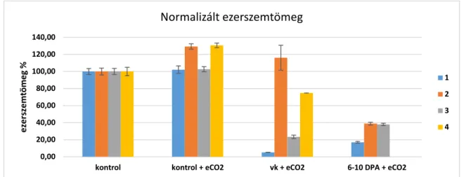 1. ábra Klímakamrában nevelt alacsony immunreaktivitású alakor genotípusok terméshozama  különböző fenofázisokban alkalmazott szárazság stressz kezelés emelt légköri CO 2  szint  mellett
