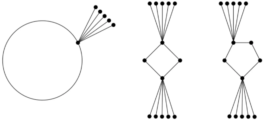 Figure 1: The graphs C k ∗r , C 4 ∗∗r and, C 5 ∗∗r