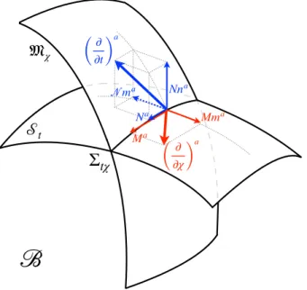 FIG. 1: The decomposition of the temporal and radial evo- evo-lution vectors in the f A basis