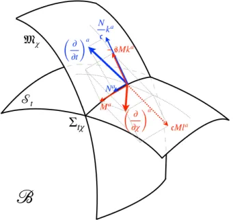 FIG. 2: The decomposition of the temporal and radial evo- evo-lution vectors in the g A basis