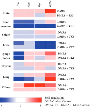 Figure 2: Heat map of gene expression patterns compared to the negative control. Blue boxes represent negative (down) regulation, while red boxes indicate positive (up)regulation of the gene expression.