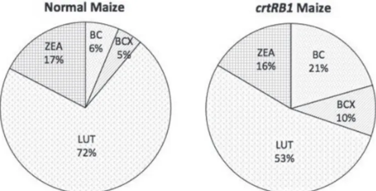 Figure  1. Relative proportion of carotenoids in normal- and crtRB1-based  maize  hybrids