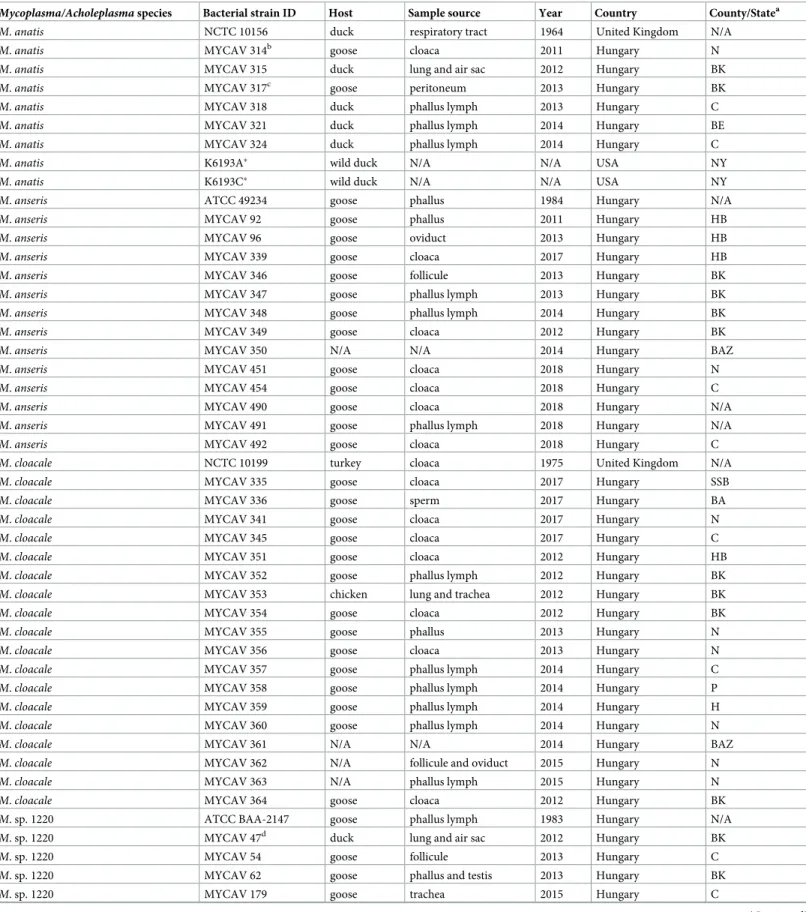 Table 1. Mycoplasma and Acholeplasma isolates/strains used in this study.