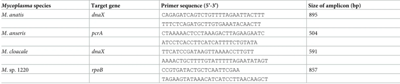 Table 3. Primers’ sequences and sizes of amplicons for the designed species-specific PCR assays.