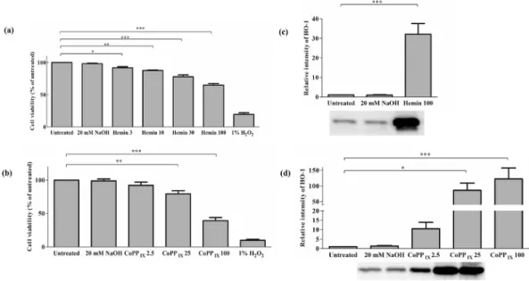 Fig. 1. Effect of HO-1 inducers on viability of H9c2 cells and HO-1 expression. Cells were treated with various concentrations of hemin (a) and CoPP IX (b)
