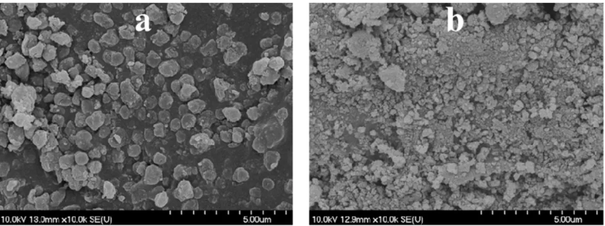 Figure 4. SEM micrographs of the H2_HS_1 sample before (a) and after (b) calcination. 