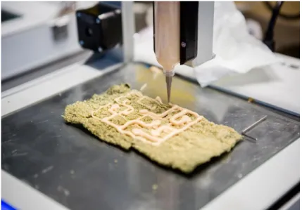 A 3D nyomtatott élelmiszer-készítés (3. kép) az additív gyártástechnológiák egy újabb olyan  ágazata,  melynek  alkalmazása  a  jövőben  akár  alapjaiban  változtathatja  meg  a  katonák  élelmezési  ellátását  is