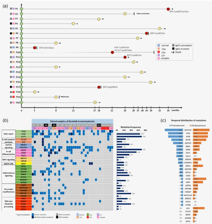 Figure 1 . ( a ) Timeline and basic cytogenetic features of the 20 patients treated with ibrutinib