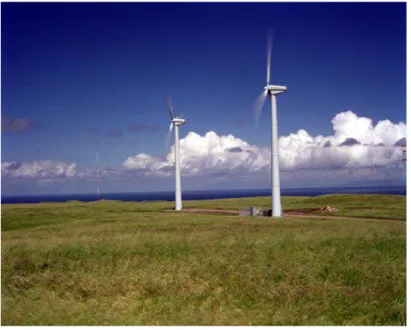 Figure 2: Wind turbines at a U.S. Navy installation, San Clemente Island, CA. 10  (8) 