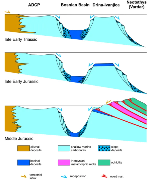 Fig. 14    Conceptual cross sections for demonstrating the structural evolution and related changes in sediment deposition on the southern margin  of the western Neotethys, from the passive to the active stage