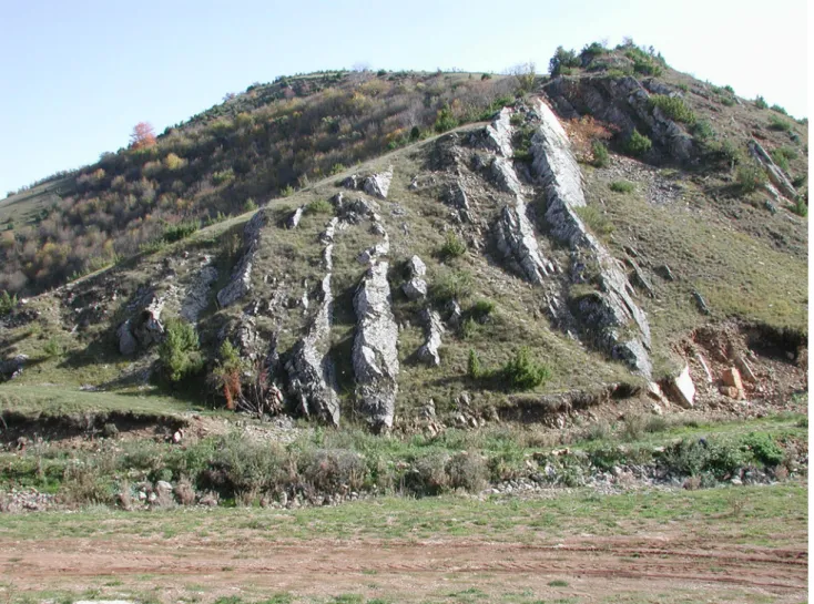 Fig. 2    The eastern side of the Trijebinska Reka valley showing the steeply dipping beds in the middle part (Unit 6) of the studied succession