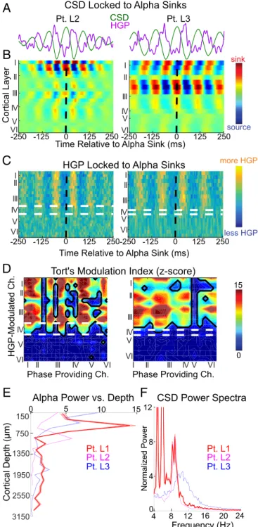 Fig. 6. Alpha CSD and HGP are maximal in supragranular cortex. (A) Average CSD and HGP waveforms of a single channel on the same time axes as B ( ± SEM across alpha sinks)