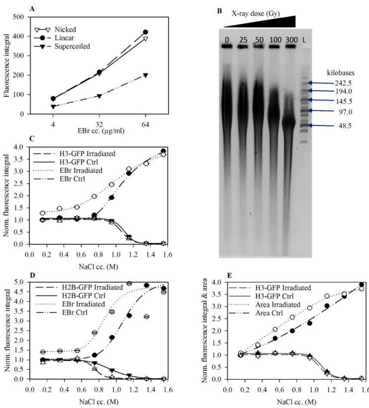Fig 5. Relaxation of extranucleosomal torsional tension increases EBr intercalation. (A) EBr fluorescence profile of topologically different plasmid DNA molecules as a function of EBr concentration