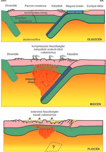 Figure 6. Plate tectonic model provided by S TEGENA et al. (1975) for the relationship of geodynamic and volcanic processes of the Pannonian Basin
